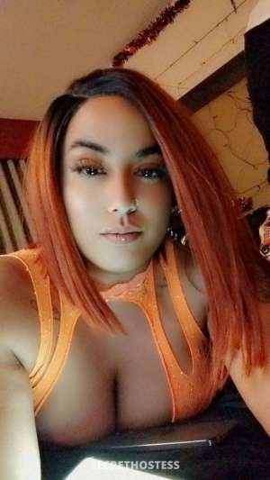 Lauren 27Yrs Old Escort Olympia WA Image - 2