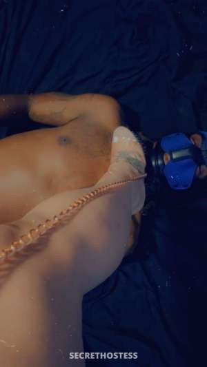 Lulu 29Yrs Old Escort El Paso TX Image - 4
