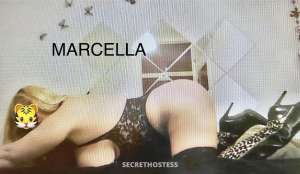 40Yrs Old Escort Miami FL Image - 4