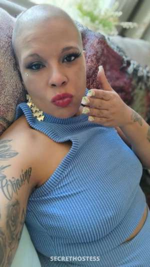 Ladyauthor 26Yrs Old Escort South Bend IN 26 year old Escort in South Bend IN