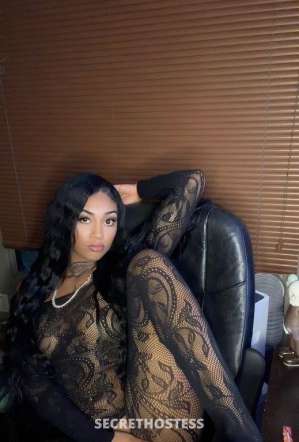 Limited availability Puerto Rican Asian Exotic Xxscape Tight 20 year old Escort in North Bay CA