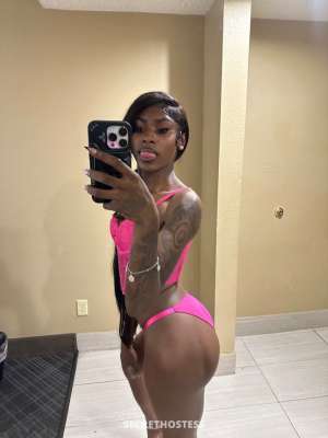 INCALL n OUTCALL YOUNG TIGHT WETTTT A1 20 year old Escort in Baton Rouge LA