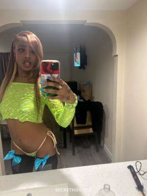 23Yrs Old Escort Long Beach CA Image - 3