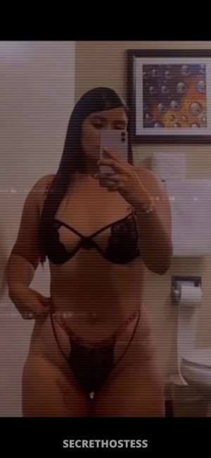 25Yrs Old Escort Oakland CA Image - 4