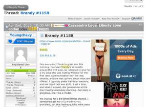 Brandy 23Yrs Old Escort Windsor Image - 7