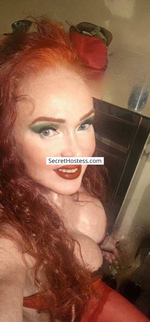43Yrs Old Escort Size 10 165CM Tall Newmarket Image - 13