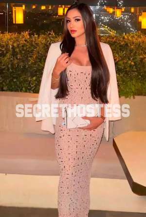 Camila Brazilian Brunette with a slim curvy figure 25 year old Escort in New York City NY