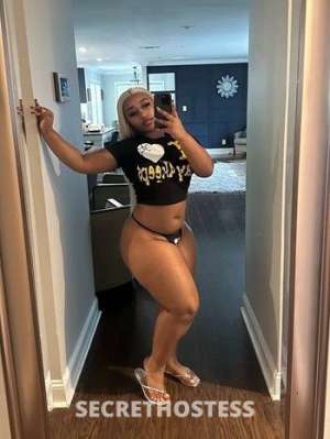 New to town 23 year old Escort in Western Slope CO