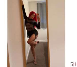 23 year old Latino Escort in Exeter GABY PARTY GIRL .️‍⚧️ NAUGHTY .., Independent