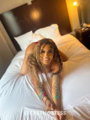 SEXY LIGHTSKIN BABE outcalls cardates 24 year old Escort in Stockton CA