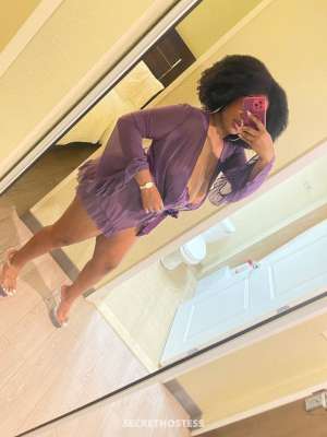 Caramel Beauty AVAILABLE 26 year old Escort in Fort Myers FL