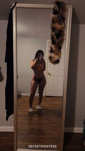 26Yrs Old Escort Cape Cod MA Image - 2