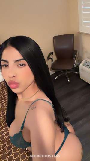 24Yrs Old Escort Concord CA Image - 1
