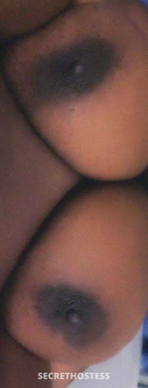 come get dis chocolate coochie 21 year old Escort in Columbus GA