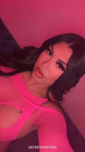 New babe in town 25 year old Escort in San Mateo CA