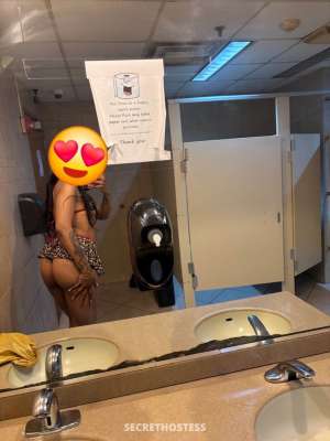 Exclusive head 24 year old Escort in North Jersey NJ