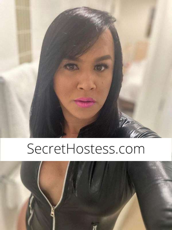 28Yrs Old Escort Size 10 162CM Tall Mackay Image - 12
