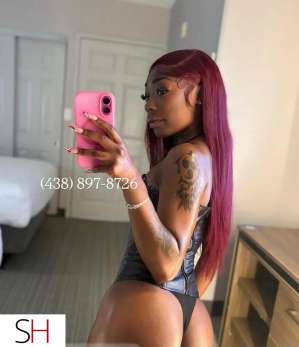 Sasha 23Yrs Old Escort Montreal Image - 7