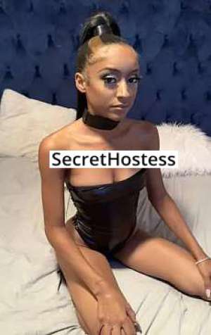 30 year old African American Escort in Chicago IL 30Yrs Old African American Escort Brunette B Cup Chicago IL