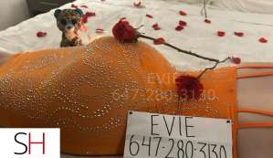 19 year old Caucasian Escort in Mississauga Evie 19Yrs Old Caucasian Escort Mississauga