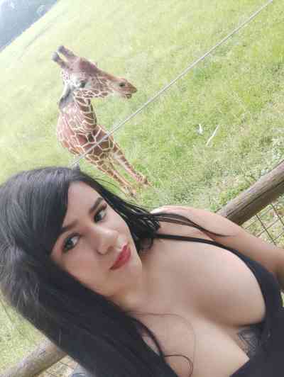 23 year old Colombian Escort in Dallas TX MENÚ EXCLUSIVO & FACETIME SHOW – MIA (COLOMBIANA