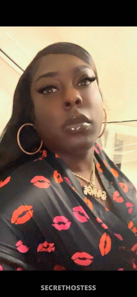 28Yrs Old Escort North Mississippi MS Image - 1