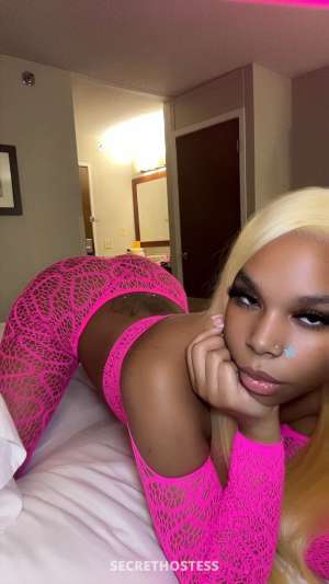 LAST DAY DEEP THROAT PHAT JIGGLY ASS Catch me while you can 23 year old Escort in Columbia SC