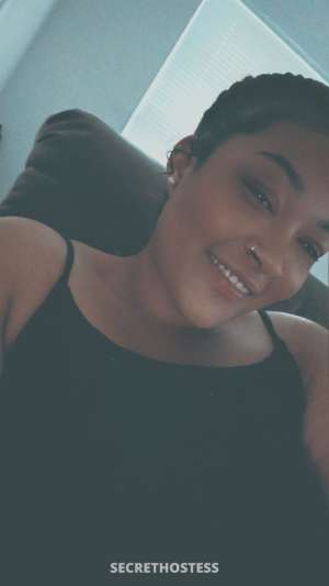 im back NEW NUMBER LIGHT BRIGHT DAMN NEAR WHIITE 30 year old Escort in Tri-Cities TN