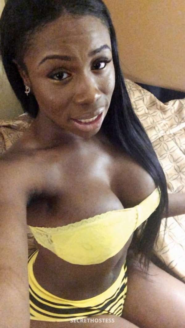 Jasmine Escort New York City NY Image - 1