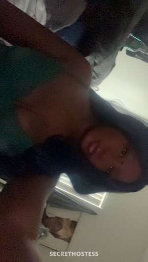 24Yrs Old Escort 157CM Tall Chico CA Image - 4