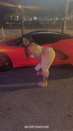 sheseauxraw greek mami 25 year old Escort in Norfolk VA