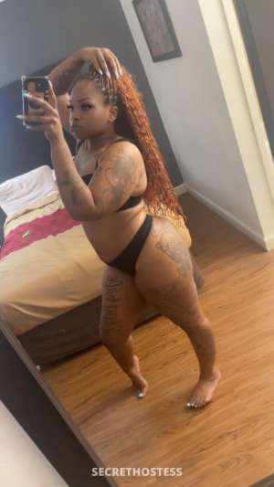 Im having a 85qv and 140hhr special today Good Girl Looks 29 year old Escort in Jonesboro AR