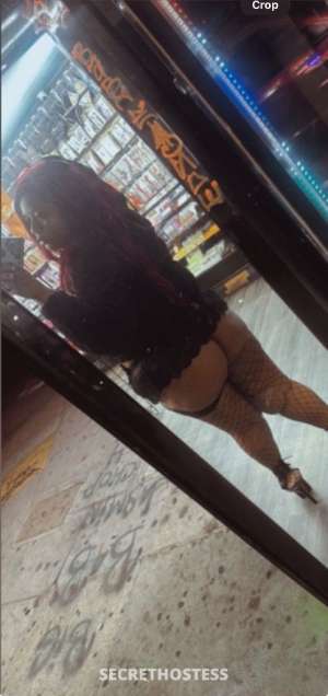 Phoebe 24Yrs Old Escort Long Beach CA Image - 2