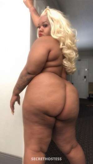 Morning nut 80qv 29 year old Escort in Birmingham AL