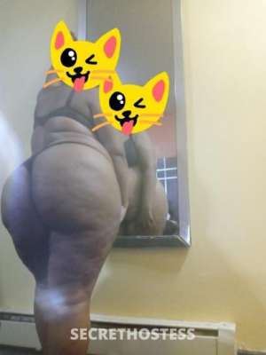 42Yrs Old Escort Macon GA Image - 1