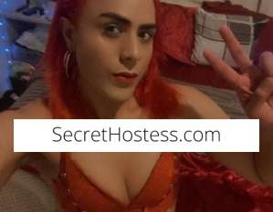 25Yrs Old Escort Sydney Image - 6