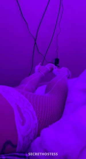 Arabian Barbie in your city busty bubbly and magical come 24 year old Escort in Boise ID