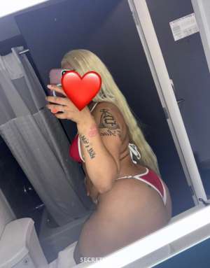 26Yrs Old Escort St. Cloud MN Image - 1