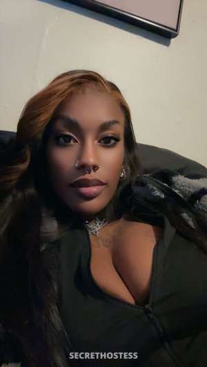 I t n a s t y 24 year old Escort in Rochester NY