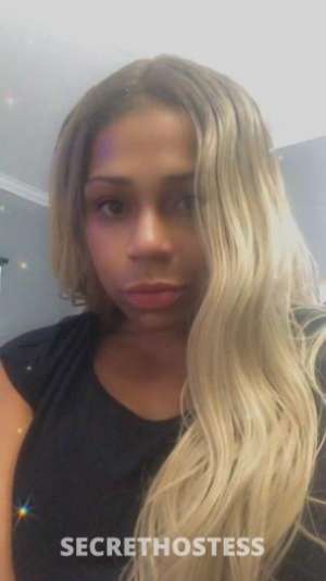 Incall outcall 24 7 36 year old Escort in Treasure Coast FL