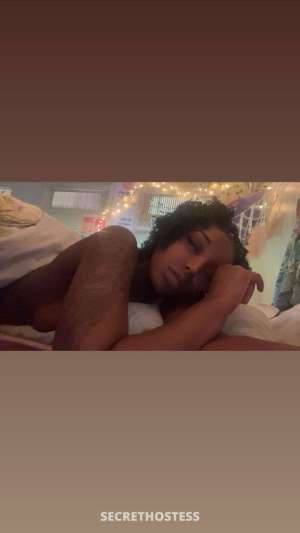 Sevvyn 26Yrs Old Escort Monroe LA Image - 2