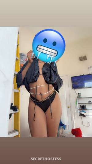28Yrs Old Escort Albany NY Image - 3