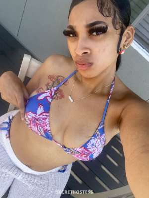 20Yrs Old Escort Concord CA Image - 1