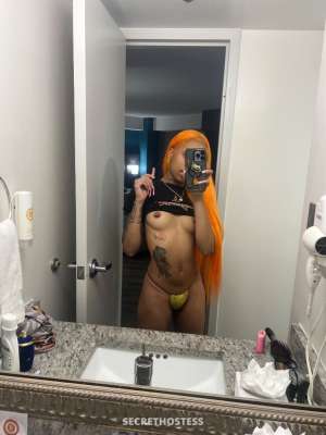22Yrs Old Escort Washington DC Image - 2
