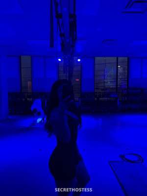 Kat Escort model, 24, black-hair in Seattle, US 0 year old Escort in Seattle WA