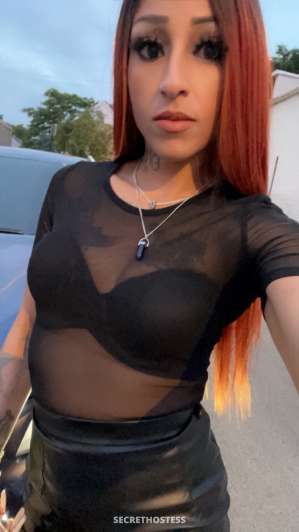 Ariel Escort model, 28, other-hair-color in Chicago, US 0 year old Escort in Chicago IL