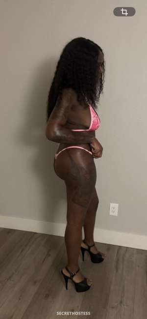 PartyWithToya Escort model, 26, black-hair in Las Vegas, US 0 year old Escort in Las Vegas NV